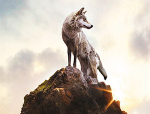 El Último Lobo de Jean-Jacques Annaud en Blu-ray
