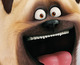 Nuevas carátulas e información de Mascotas en Blu-ray 2D, 3D y UHD
