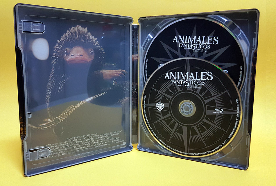 Fotografías del Steelbook de Animales Fantásticos y Dónde Encontrarlos en Blu-ray 12