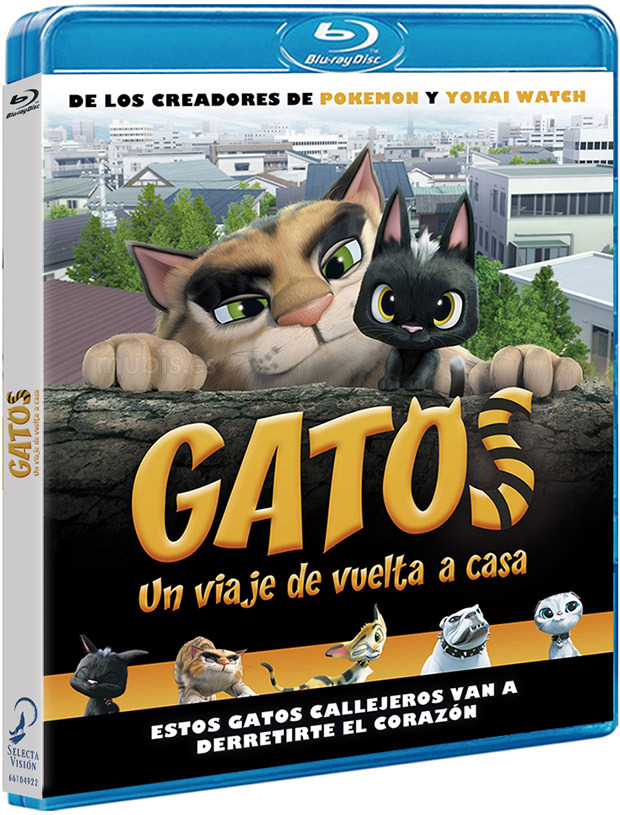 Datos de Gatos. Un Viaje de Vuelta a Casa en Blu-ray 1