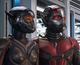 Primer tráiler de Ant-Man y la Avispa, con Paul Rudd y Evangeline Lilly