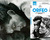 Todos los detalles de Orfeo -dirigida por Jean Cocteau- en Blu-ray
