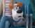 Primer tráiler de la película de animación Mascotas 2