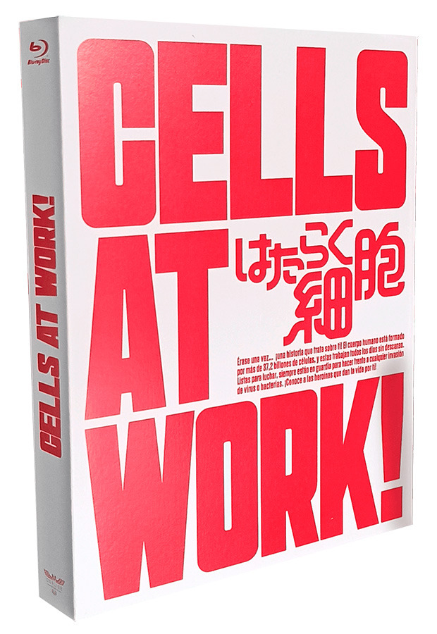 Desvelada la carátula del Blu-ray de Cells at Work! - Serie Completa 2