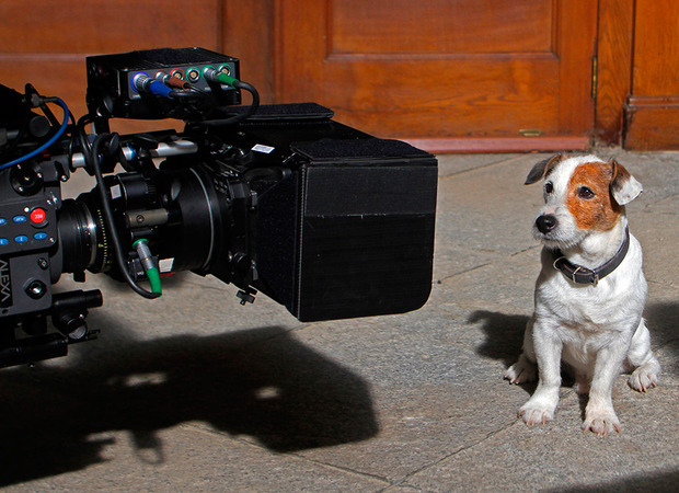 Finaliza el rodaje de la película Pancho con el perro de la Primitiva