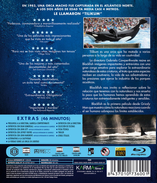 Blackfish en Blu-ray, el documental sobre las orcas en cautiverio