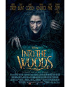 Póster de la película Into the Woods 2