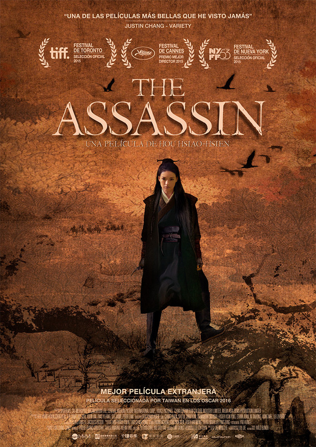 Póster de la película The Assassin
