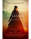 Póster de la película The Assassin 1