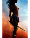 Póster de la película Wonder Woman 4