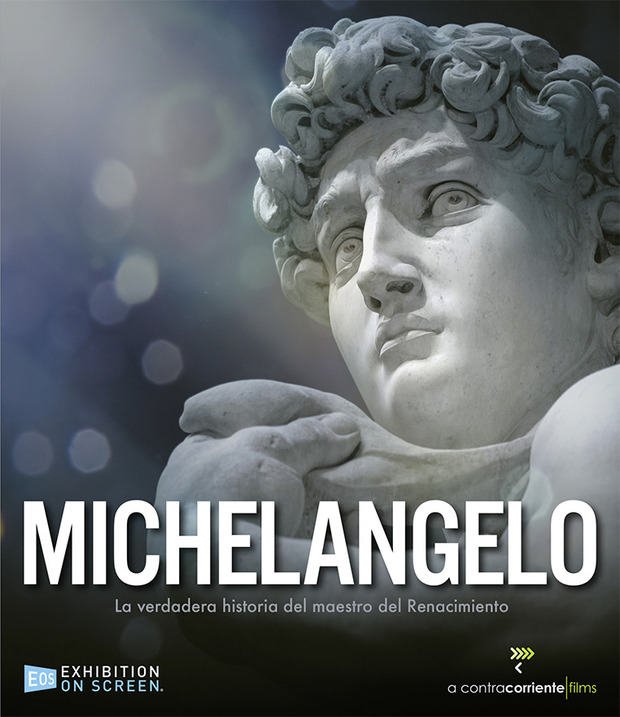 Póster de la película Michelangelo