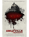 Póster de la película Amityville: El Origen 2