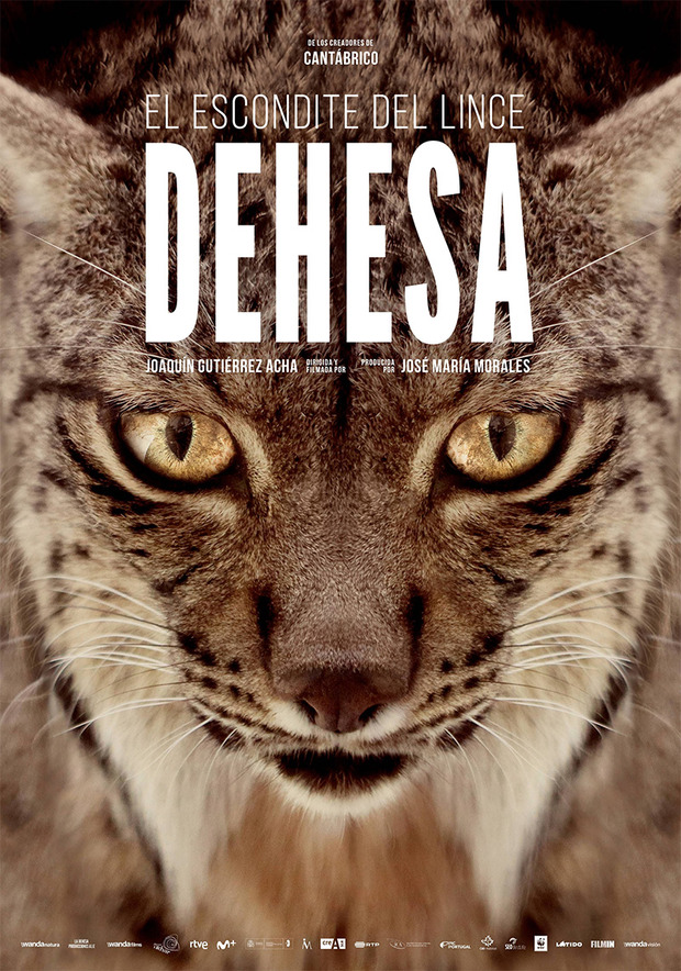 Póster de la película Dehesa, el Bosque del Lince Ibérico