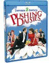 Pushing Daisies (Criando Malvas) - Segunda Temporada Blu-ray
