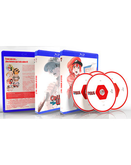 Cells at Work! - Serie Completa Blu-ray 3