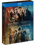 Harry Potter y Animales Fantásticos - Colección 10 Películas Blu-ray