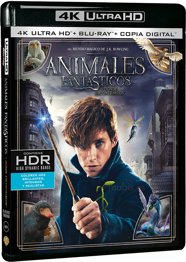 carátula Animales Fantásticos y Dónde Encontrarlos Ultra HD Blu-ray 1