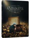 Animales Fantásticos y Dónde Encontrarlos - Edición Metálica Blu-ray
