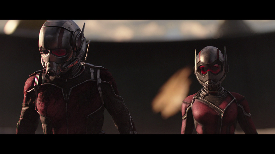 captura de imagen de Ant-Man y la Avispa Blu-ray - 1