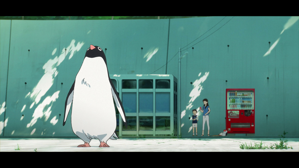captura de imagen de Penguin Highway (El Misterio de los Pingüinos) - Otaku Edition Coleccionista Blu-ray - 6