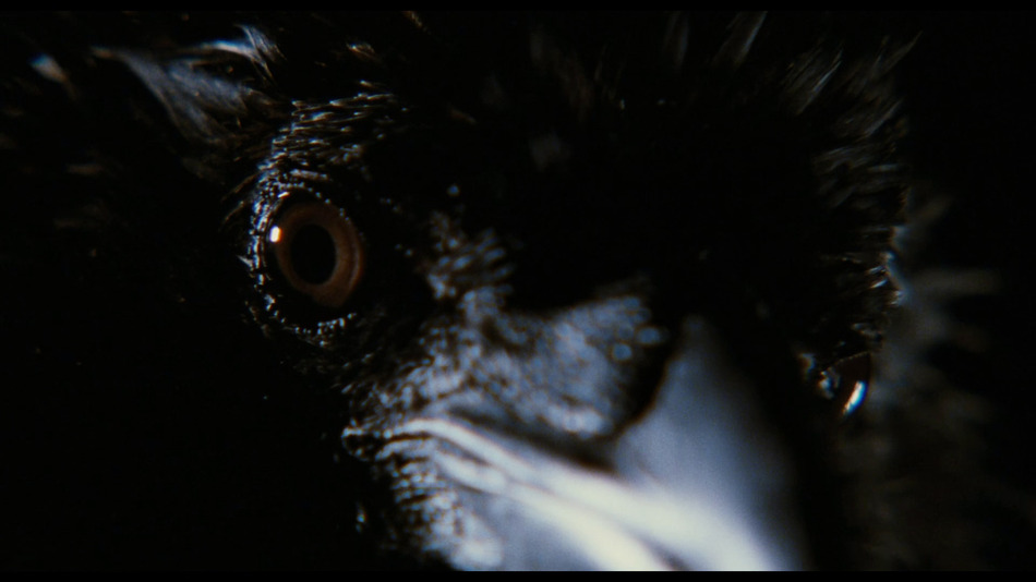captura de imagen de El Cuervo Blu-ray - 17