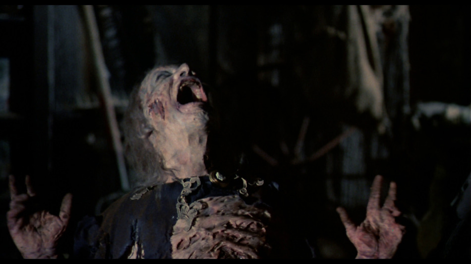 captura de imagen de Terroríficamente Muertos (Evil Dead 2) Blu-ray - 14