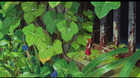 imagen de Arrietty y el Mundo de los Diminutos Blu-ray 2