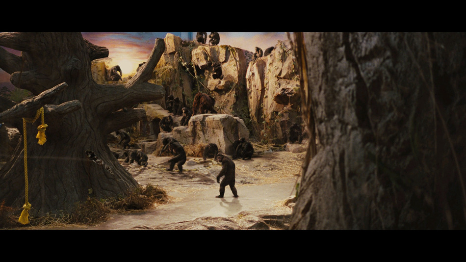 captura de imagen de El Origen del Planeta de los Simios Blu-ray - 8