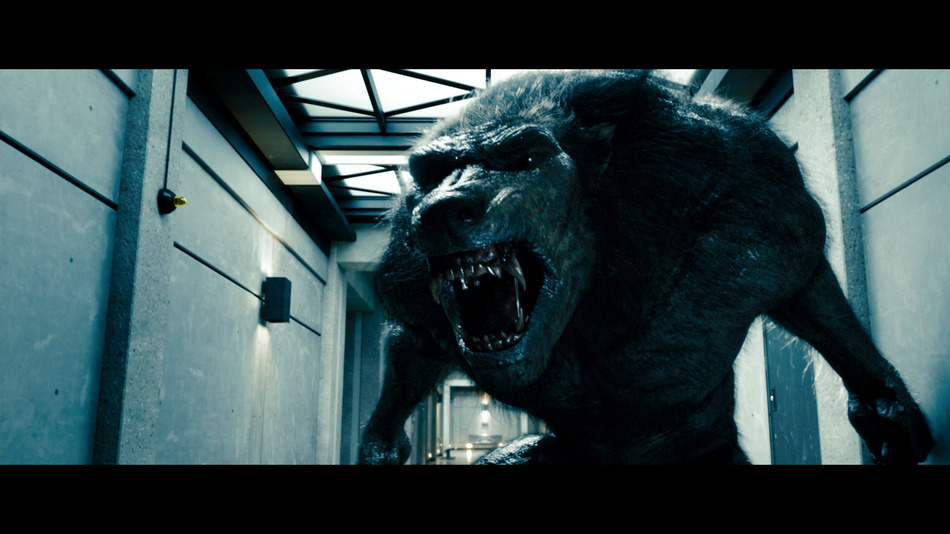 captura de imagen de Underworld: El Despertar Blu-ray - 10