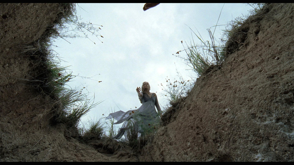 captura de imagen de El Árbol de la Vida Blu-ray - 15