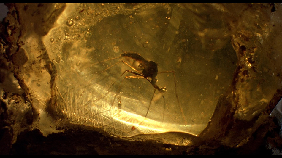 captura de imagen de Jurassic Park (Parque Jurásico) Blu-ray - 1