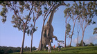 imagen de Jurassic Park (Parque Jurásico) Blu-ray 3
