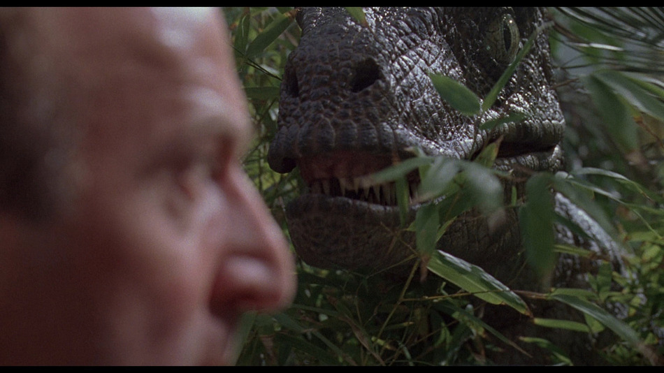 captura de imagen de Jurassic Park (Parque Jurásico) Blu-ray - 13