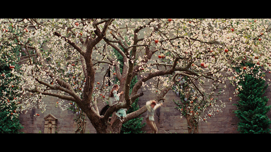 captura de imagen de Blancanieves y la Leyenda del Cazador Blu-ray - 3
