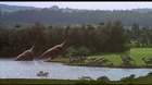 imagen de Trilogía Jurassic Park (Parque Jurásico) Blu-ray 4