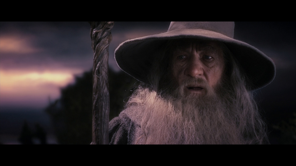captura de imagen de El Hobbit: La Desolación de Smaug - Edición Especial Blu-ray - 4
