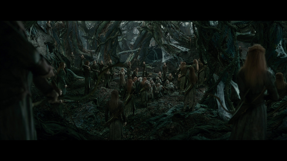 captura de imagen de El Hobbit: La Desolación de Smaug - Edición Especial Blu-ray - 9