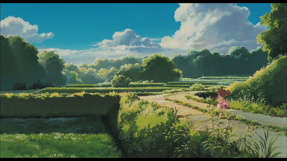 captura de imagen de Mi Vecino Totoro (Combo Blu-ray + DVD) Blu-ray - 7