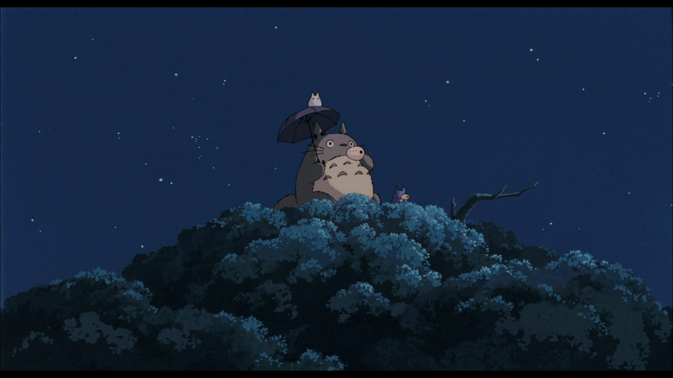 captura de imagen de Mi Vecino Totoro (Combo Blu-ray + DVD) Blu-ray - 9
