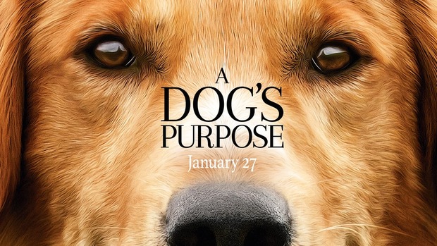 Piden boicotear la película ‘A Dog’s Purpose’ por maltrato animal