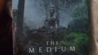 The-medium-c_s