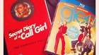 Glee-y-secret-diary-of-a-call-girl-c_s
