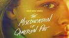 Poster-the-miseducation-of-cameron-post-c_s