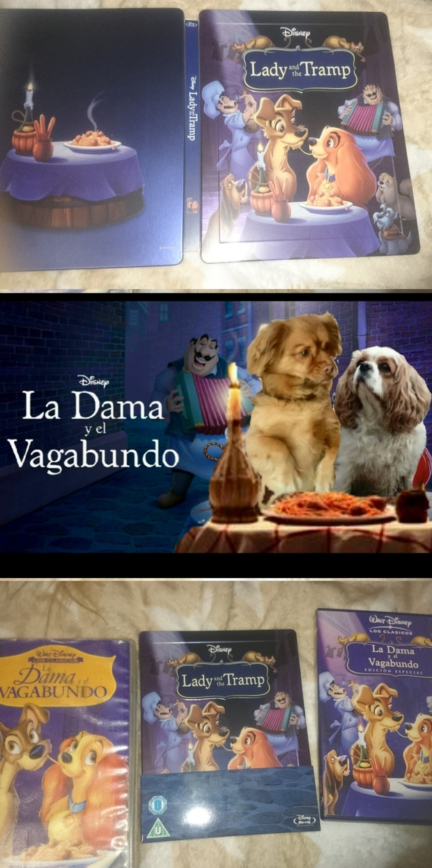 Mi Colección de (La Dama y el Vagabundo) con Montaje de mis Perros Inclusive. 