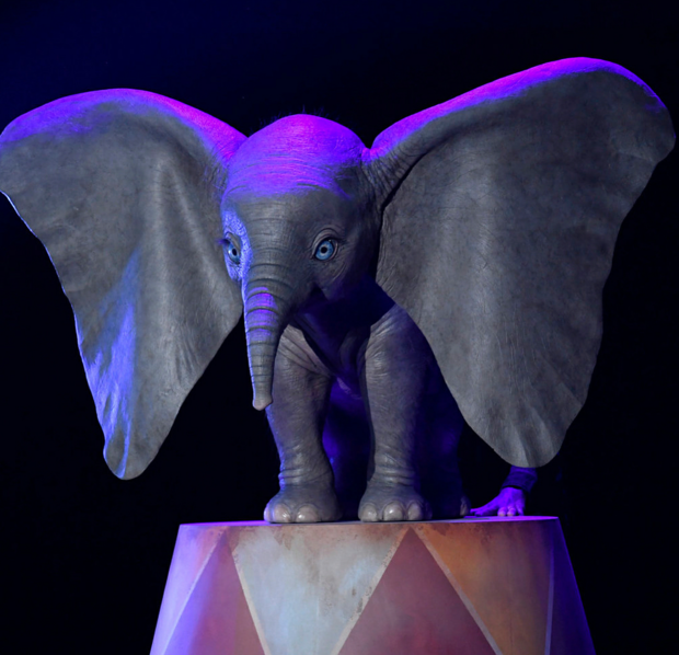 Dumbo (D23 Expo)
