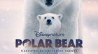 Polar-bear-trailer-disney-earht-day-2022-c_s