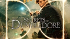 Fantastic-beasts-the-secrets-of-dumbledore-dolby-cinema-c_s