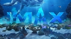 Avatar-the-way-of-water-imax-c_s
