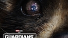 Guardians-of-the-galaxy-dolby-c_s