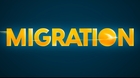 Migration-illumination-c_s